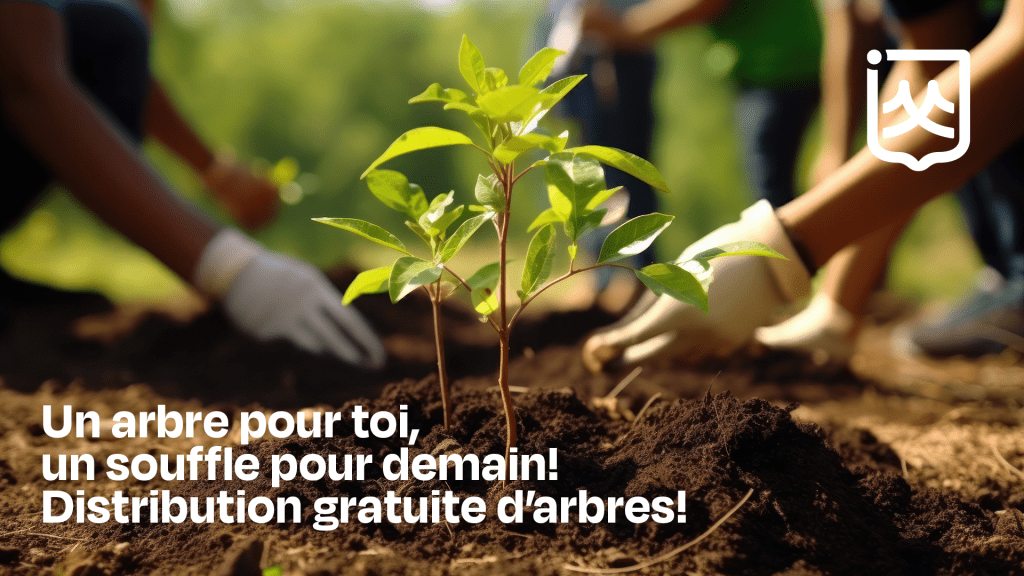 Un arbre pour toi, un souffle pour demain! - Ville de Matane