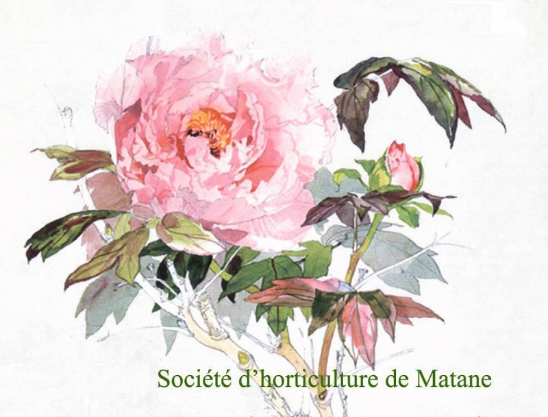 Société d'horticulture de Matane : Conférence : Semis, greffes et boutures