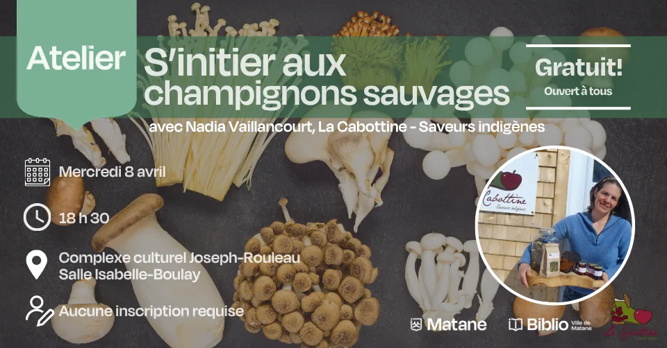 S'initier aux champignons sauvages avec Nadia Vaillancourt