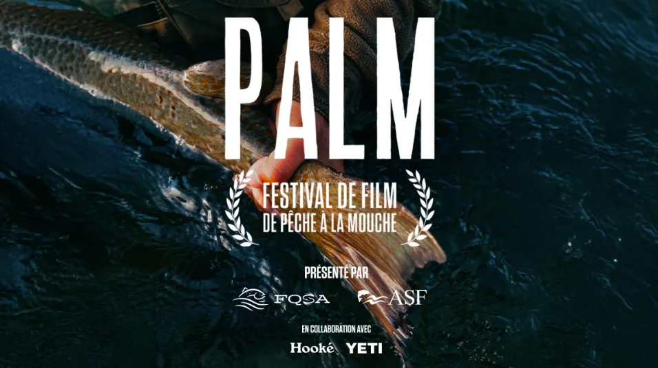 Festival PALM Matane 2026