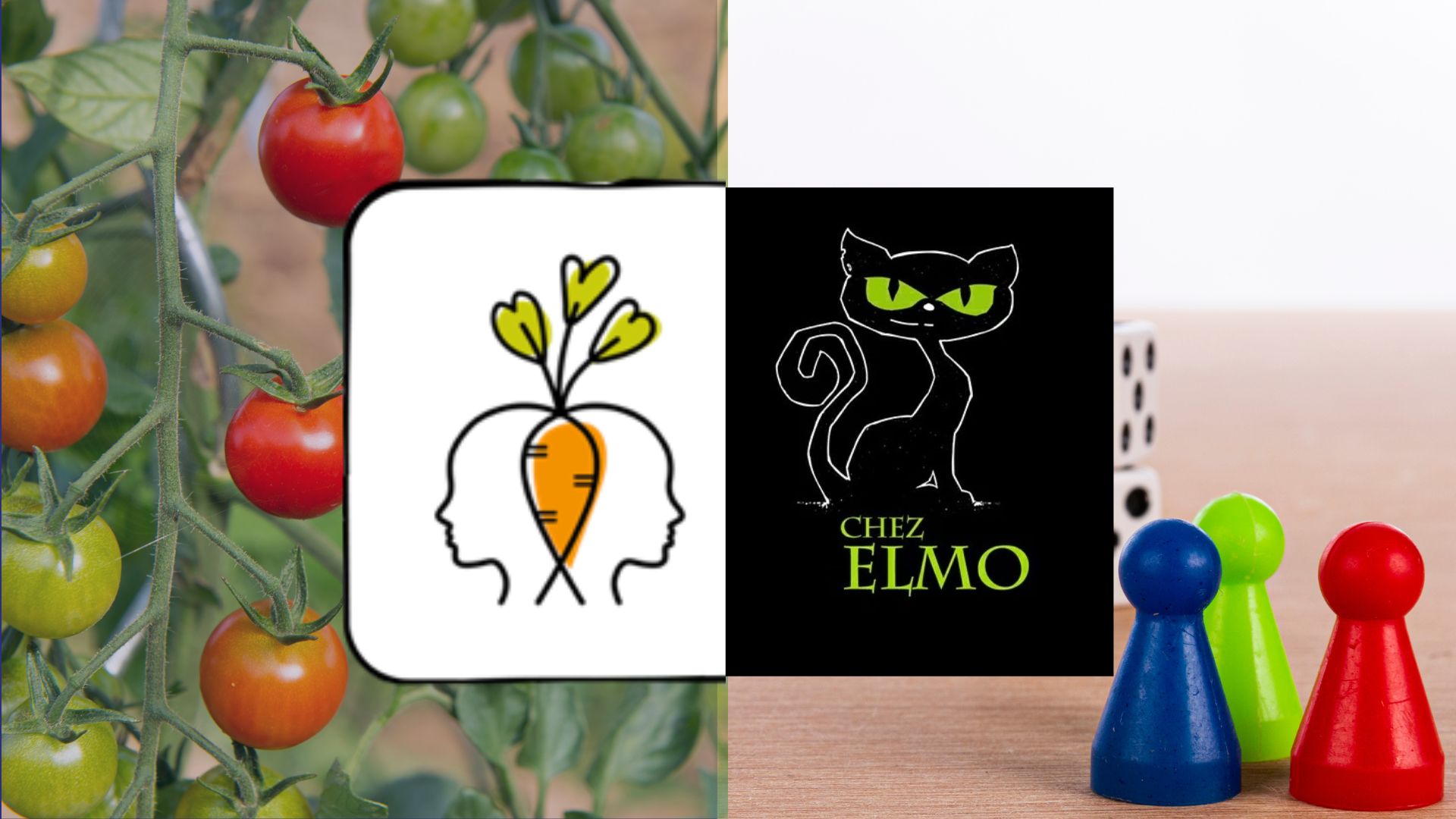 Soirée jeux de société en plein air - Une collaboration avec Chez Elmo, pub ludique