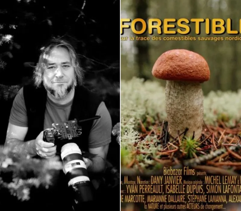 projection forestible Dany Janvier