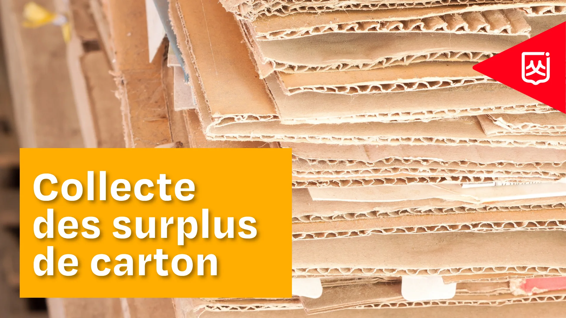 Collecte des surplus de carton